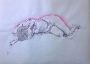 Akt_weibl_November_2014web