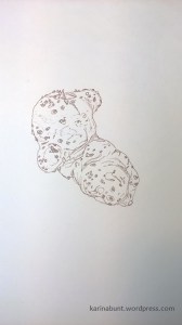 Amorphophallus_vogelianus_s_n_Tusche-1-1