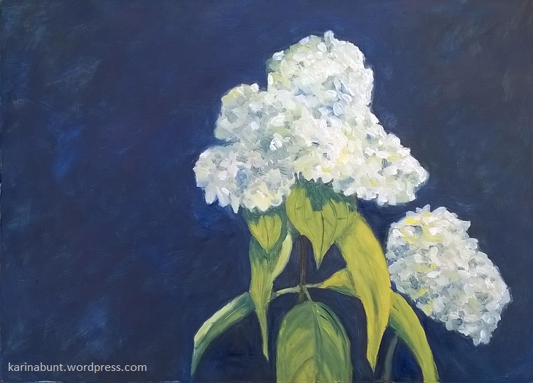 weisse Hortensienblüte