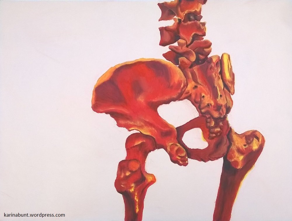 Anatomische Studie einenes menschlichen Beckens