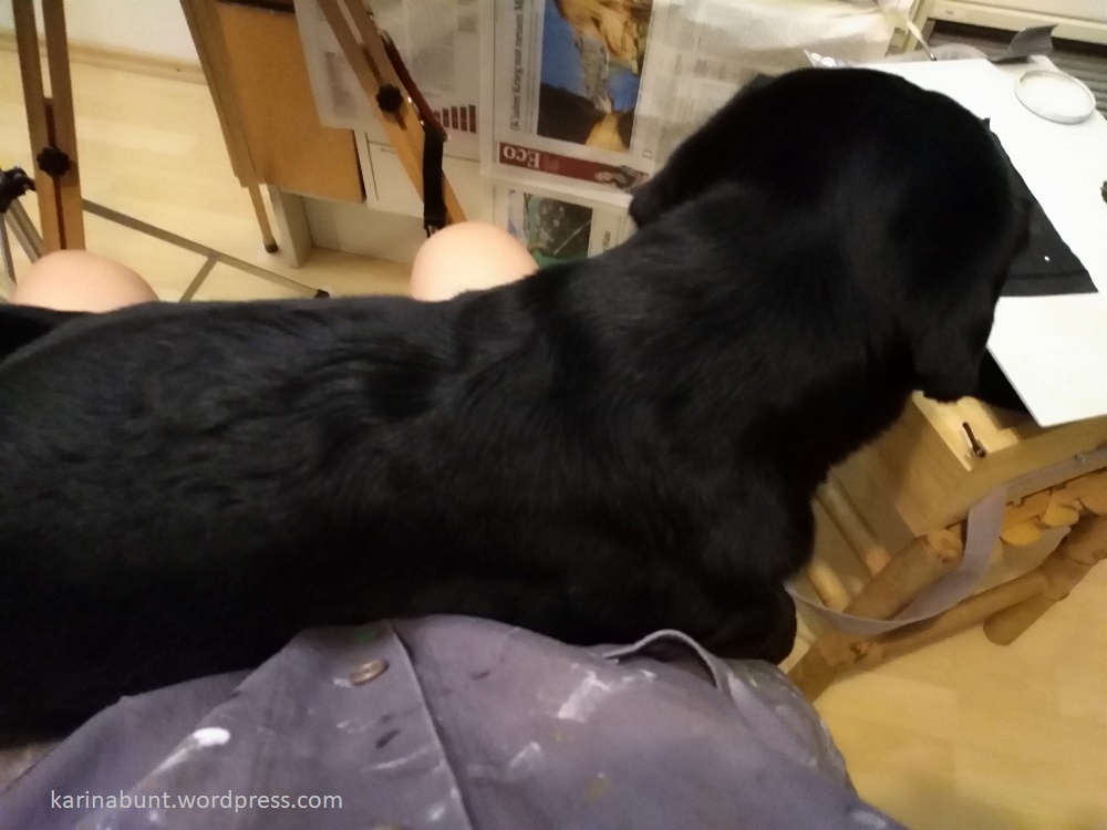 Hund hilft beim Malen