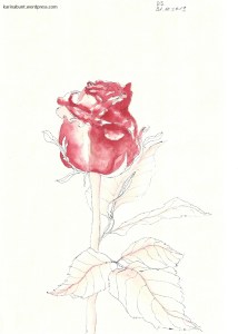 Darstellung einer Rose