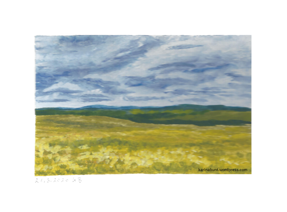 Rapsfeld an stürmischem Tag