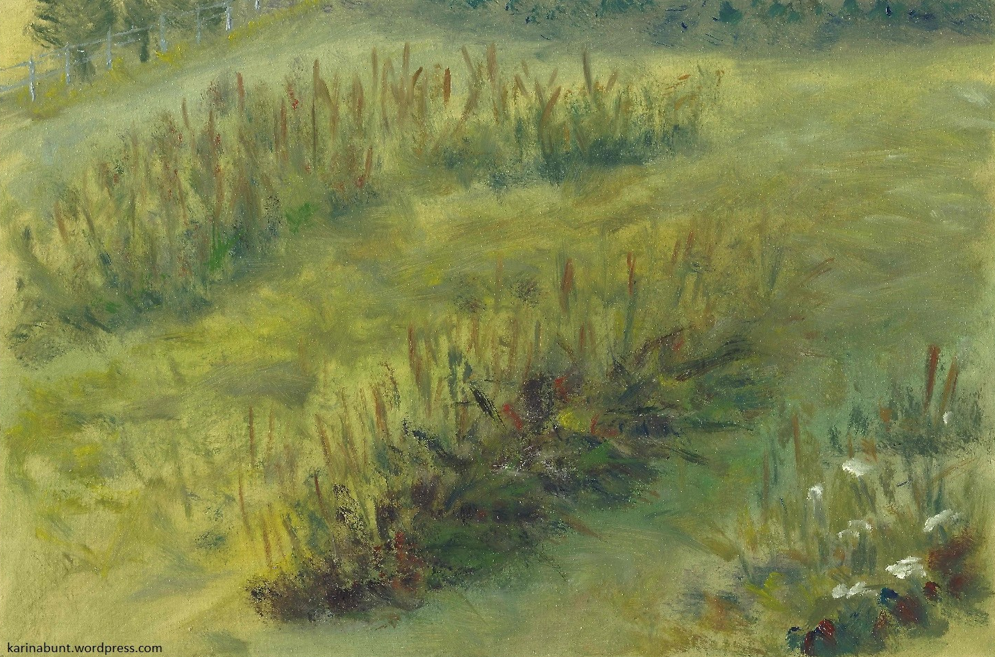 Ansicht einer sommerlichen Almwiese