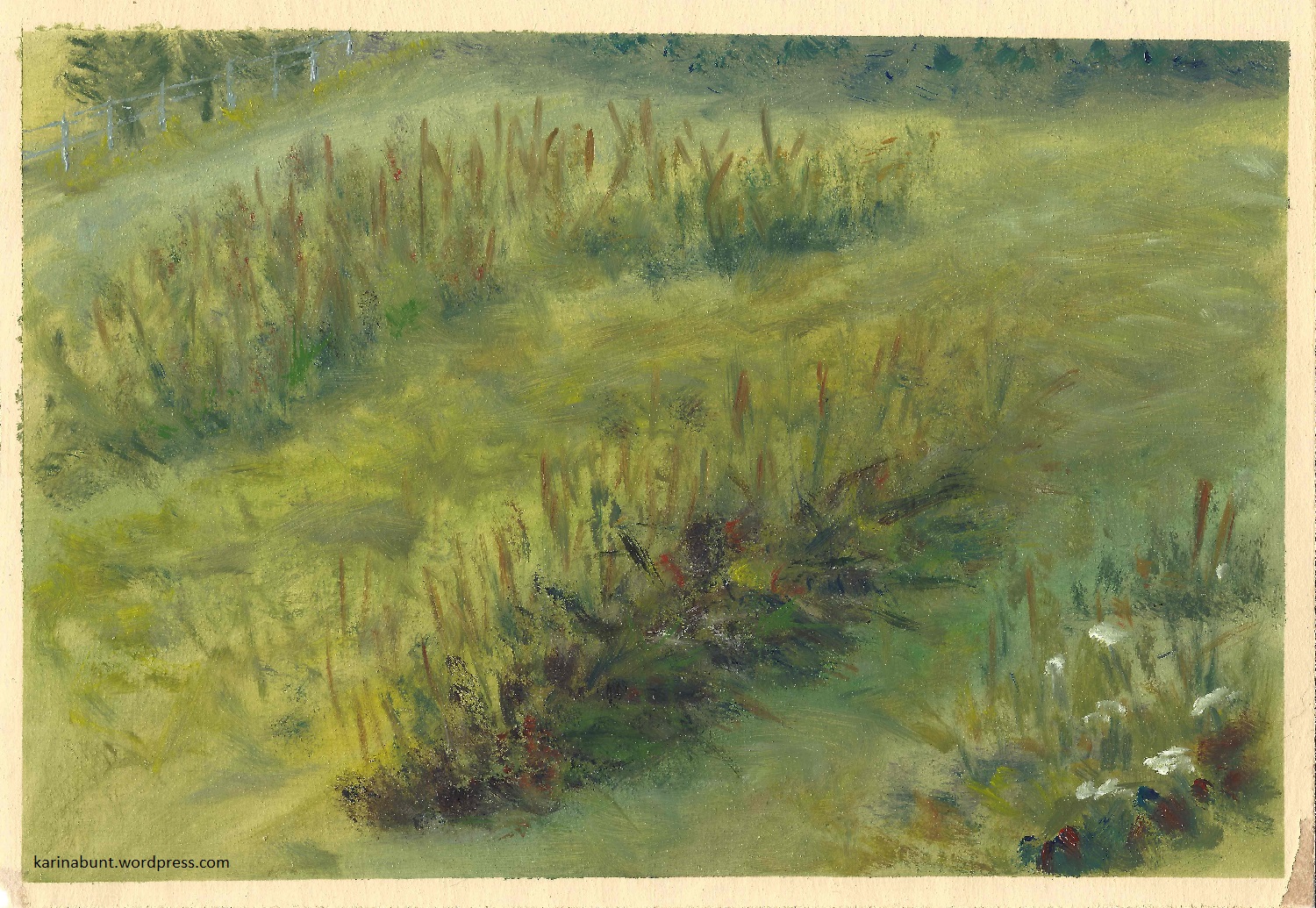 Ansicht einer sommerlichen Almwiese